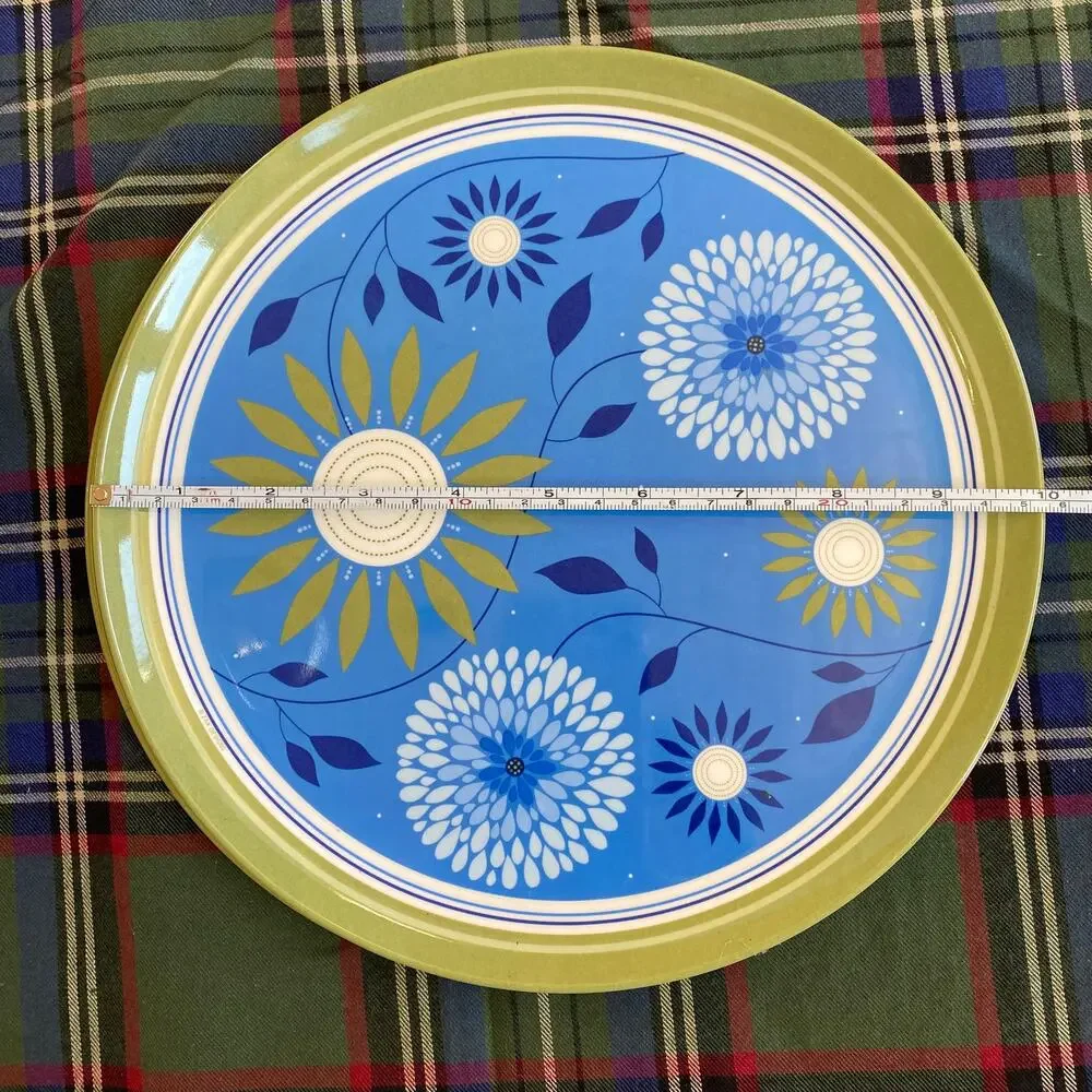 ZAK‎ Designs Pair of Blue Floral Green Border 10” Plastic Plates
